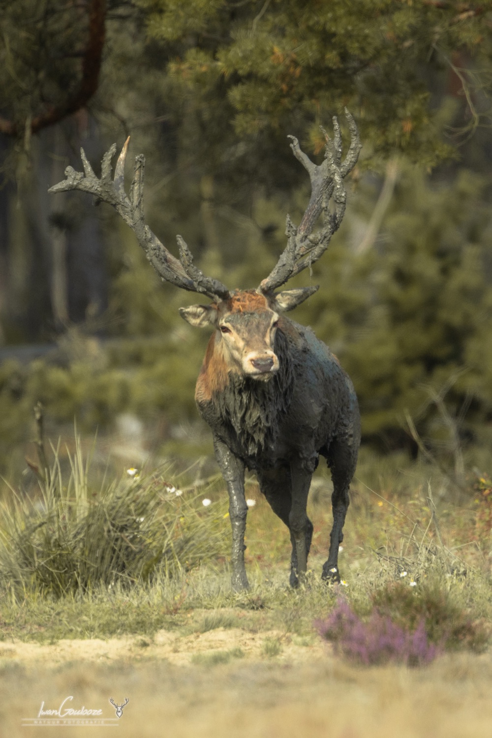 16 september 2023 163627  R2A3002